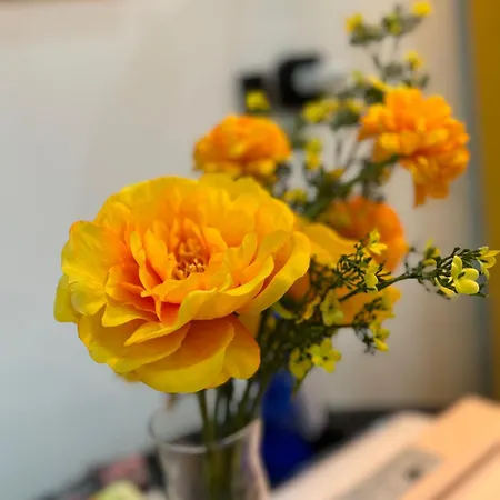 In Old アパート *